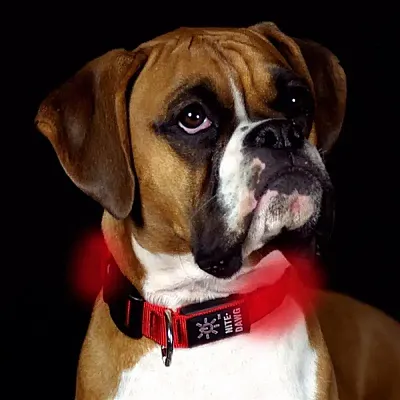 Nite Ize Nite Ize Nite Dawg LED Pet Collar - Small - Red