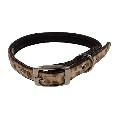Pet Edge Tails Of The West Collar - 6-10&quot;