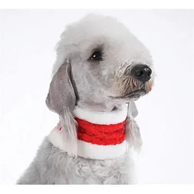 Pet Edge Holiday Collar Muffler - Small
