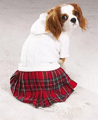 Pet Edge Back To School Jumper - X Large