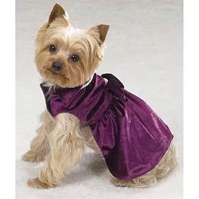 Pet Edge Lap of Luxury Velvet Dresses with Pearls - XS