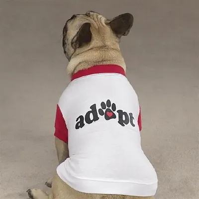 Pet Edge Casual Canine Adopt Raglan Tees - XSmall