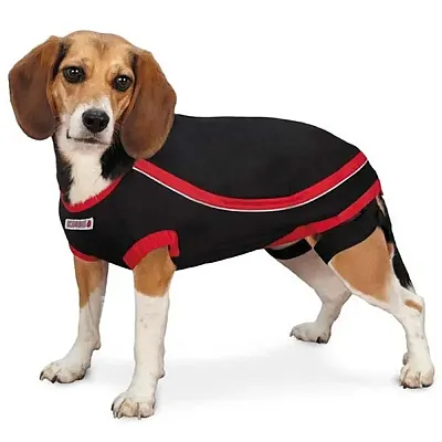 Pet Edge KONG Anxiety-Reducing Pet Shirt - M/L