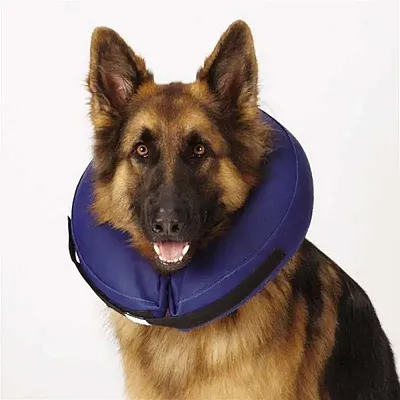 Pet Edge Inflatable Collar For Pets - X-Small