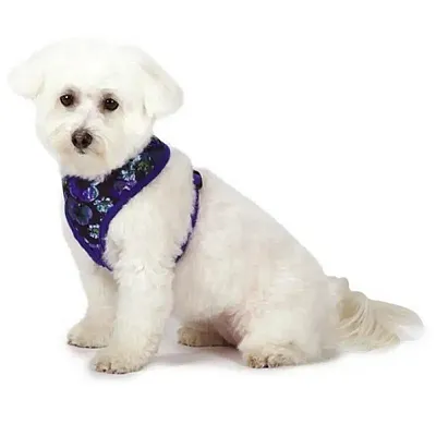 Pet Edge M. Isaac Mizrahi Floral Dot Pet Harness - Large