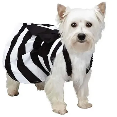 Pet Edge M. Isaac Mizrahi Gingham Stripe Pet Dress - Small