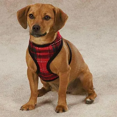 Pet Edge East Side Collection Yuletide Tartan Harness - Medium