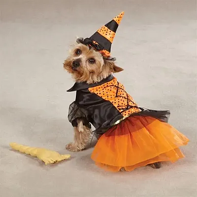 Pet Edge Spellhound Witch Costume - Medium