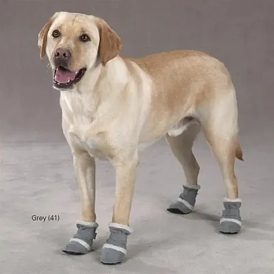 Pet Edge Classic Sherpa Dog Boots - Black - X-Large