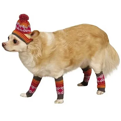 Pet Edge ESC Northern Lights Hat & Leg Warmer Set - SM - Raspberry