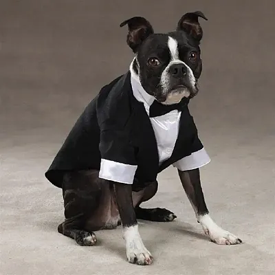 East Side Collection; Pet Edge Yappily Ever After Groom Tuxedo - Small