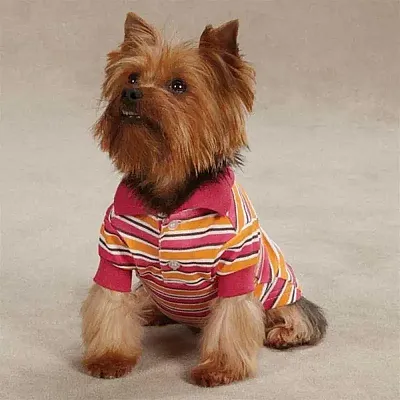 Pet Edge Brite Stripe Dog Polo - Small - Raspberry