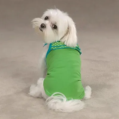 Pet Edge Ruffles and Dots Cami - Medium