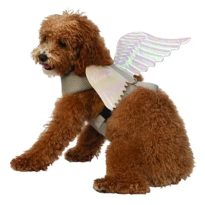 6 Rubie's Costume Co. Angel Wings Pet Harness - Medium