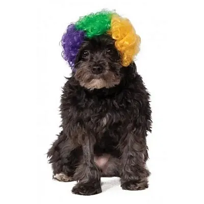 Rubie's Costume Co Mardi Gras Afro Pet Wig - M/L