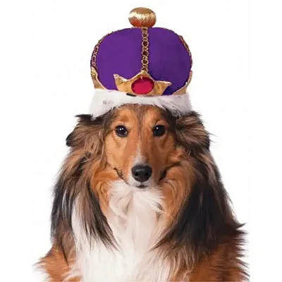 Rubie's Costume Co. Mardi Gras King's Crown - S/M