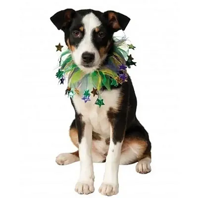 Rubie's Costume Co Mardi Gras Stars Fancy Collar - M/L