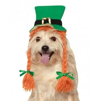 Rubie's Costume Co St. Patty's Day Pet Hat With Braids - S/M