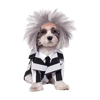 Rubie's Costume Co Beetlejuice Pet Costume - X-Large