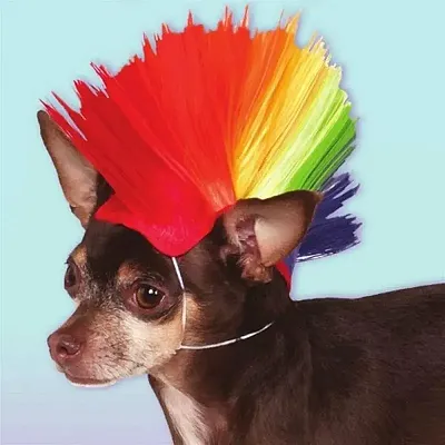 Rubie's Costume Co Mohawk Pet Wig - M/L