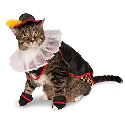Rubie's Costume Co Puss In Boots Pet Costume