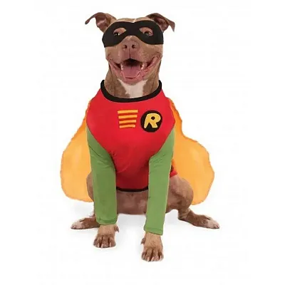 Rubie's Costume Co Big Dogs Robin Pet Costume - XXL