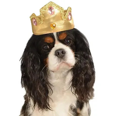 Rubie's Costume Co. Tiara For Pets - Gold - S/M