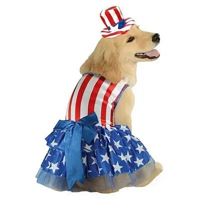 Rubie's Costume Co Patriotic Pooch Pet Costume - Medium