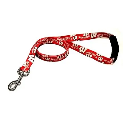 Little Earth Productions Wisconsin Badgers EZ Grip Nylon Leash - Large